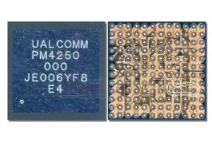 PM4250-000 IC